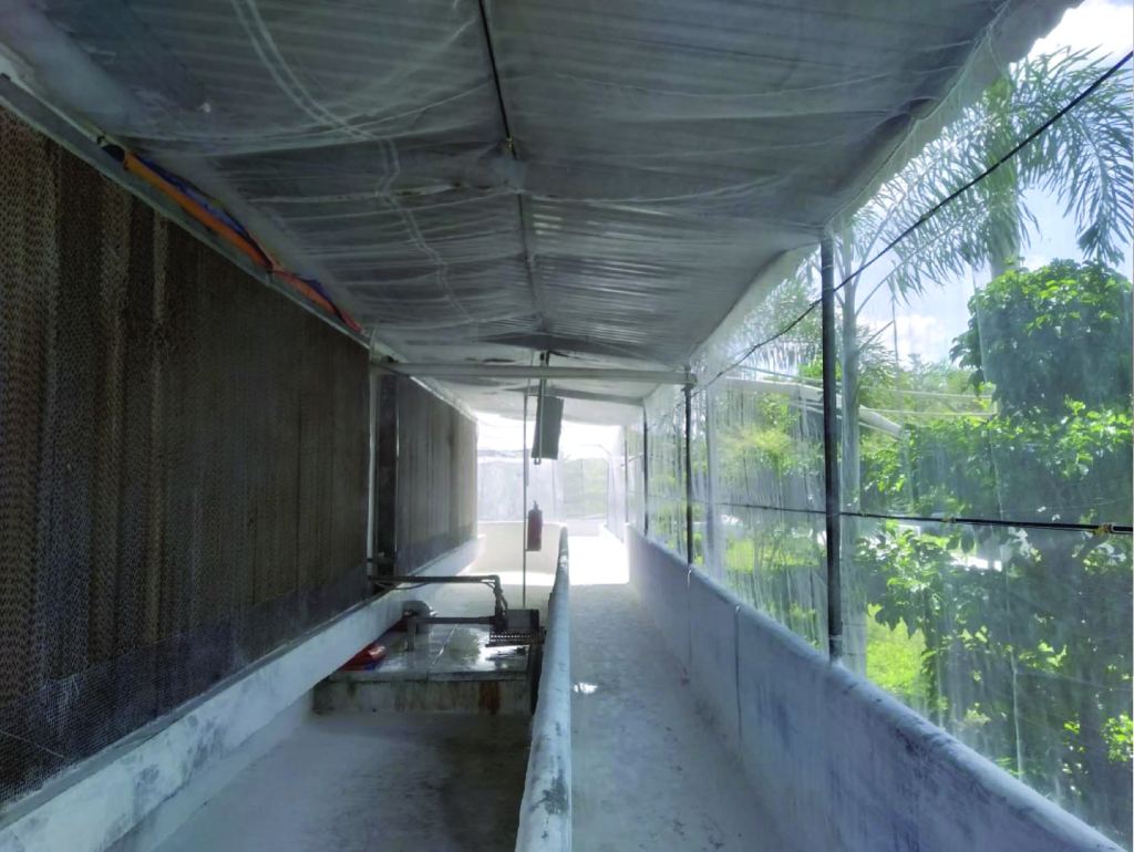 SAT-1 at the border: a different kind of FMD risk