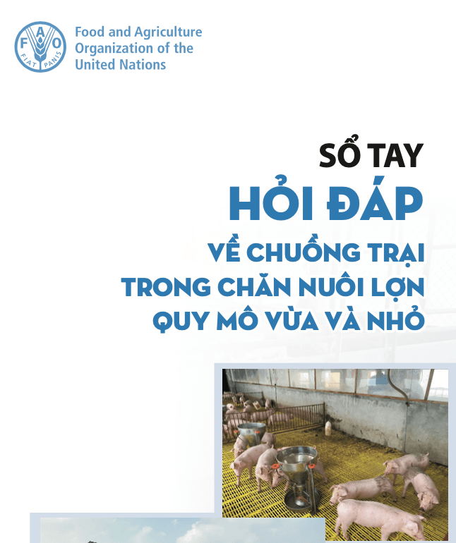 Từ xây chuồng đến xếp chỗ cho heo nọc, FAO hướng dẫn gì cho trại vừa và&nbsp;nhỏ?
